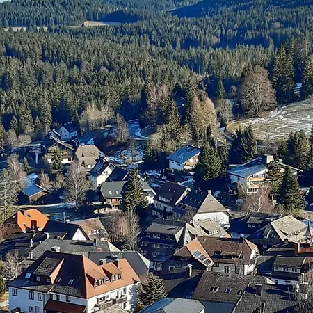 Kopf Frei Auf 1000 Meter * Feldberg (Baden-Wurttemberg)