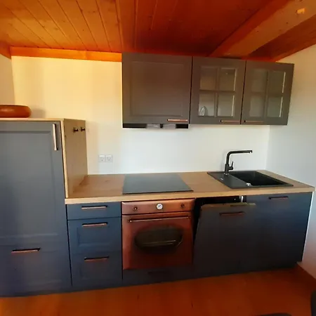 Apartment Kopf Frei Auf 1000 Meter Feldberg (Baden-Wurttemberg)