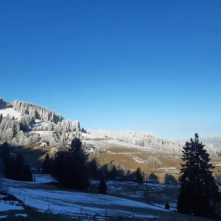 Apartment Kopf Frei Auf 1000 Meter Feldberg (Baden-Wurttemberg)