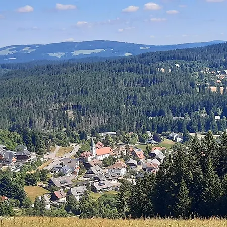 Kopf Frei Auf 1000 Meter Feldberg (Baden-Wurttemberg)