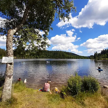 Kopf Frei Auf 1000 Meter Apartmán Feldberg (Baden-Wurttemberg)