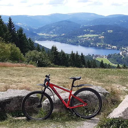 Kopf Frei Auf 1000 Meter * Feldberg (Baden-Wurttemberg)