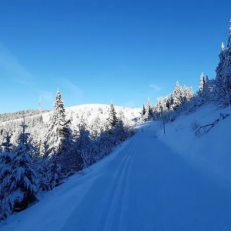 Kopf Frei Auf 1000 Meter Διαμέρισμα Feldberg (Baden-Wurttemberg)