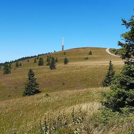 Διαμέρισμα Kopf Frei Auf 1000 Meter Feldberg (Baden-Wurttemberg)