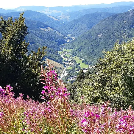 Kopf Frei Auf 1000 Meter Διαμέρισμα *