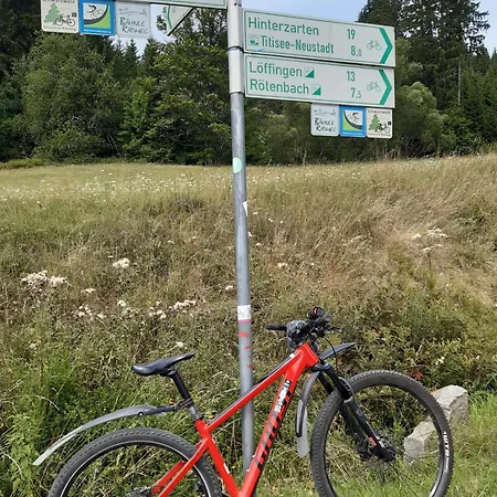 Kopf Frei Auf 1000 Meter Feldberg (Baden-Wurttemberg)