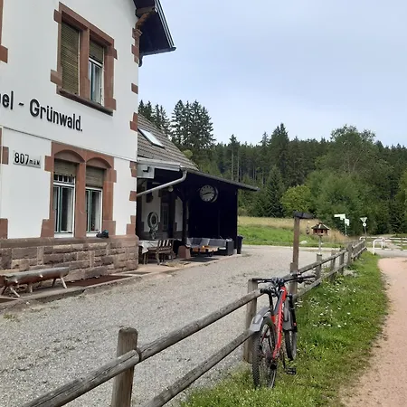 Kopf Frei Auf 1000 Meter