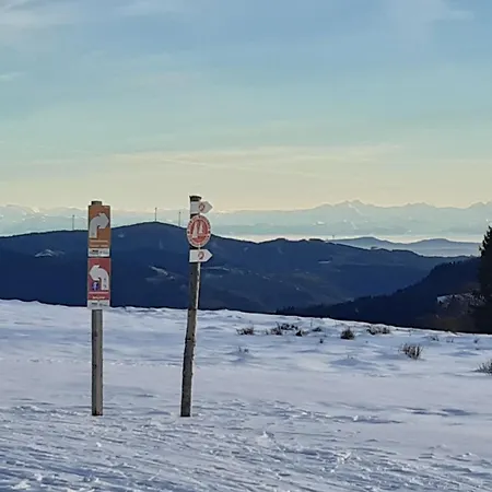 Kopf Frei Auf 1000 Meter Διαμέρισμα Feldberg (Baden-Wurttemberg)