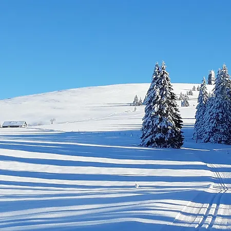 Kopf Frei Auf 1000 Meter 1 フェルトベルク